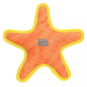 Dog Interactive Star Toy