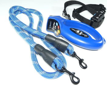 Loyal Leash for Dogs