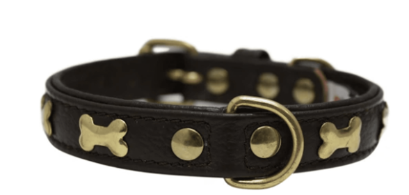 Rotterdam Bones Dog Collar