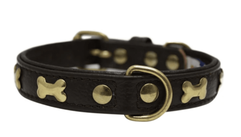 Rotterdam Bones Dog Collar-CB 16"