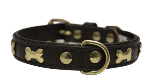 Rotterdam Bones Dog Collar-CB:18"