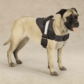 Dog Harness Quick-Release with Handle