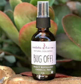 Bugs Off! Essential Oil Spray for Dogs