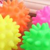 Spikey Chewable  & Squeaky Ball Toy