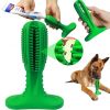 Chewy Toy Mint Toothbrush & Teething Brush