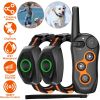 Indoor & Outdoor Dog Training System