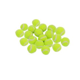 Dog Tennis Balls (20)