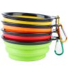 TPR Safe Collapsible Travel Bowl