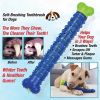 Soft Rubber Tooth Chew & Massage Stick Toy