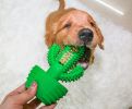 Cactus Shape Dog Toothbrush