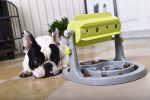 Windmill-like Rotating Slow Dog Feeder