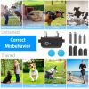 Dog Training Collar with Remote Control