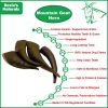 100% Natural Mountain Goat Horn Dog Treat