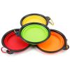 TPR Safe Collapsible Travel Bowl