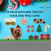 Christmas Themed Dog Treats Gift Box