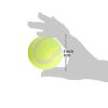 Dog Tennis Balls (20)