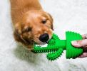 Cactus Shape Dog Toothbrush