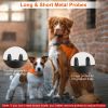 Indoor & Outdoor Dog Training System