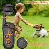 Indoor & Outdoor Dog Training System