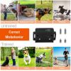 Dog Training Collar Receiver With 3-WayTraining Modes