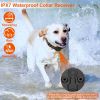 Indoor & Outdoor Dog Training System