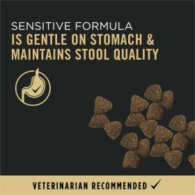 Purina Pro Plan Sensitive Skin and Stomach Salmon and Rice Dry Food