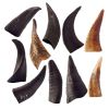 100% Natural Mountain Goat Horn Dog Treat