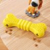 Spikey Bone Dog Toy & Treat Dispenser