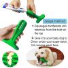 Chewy Toy Mint Toothbrush & Teething Brush