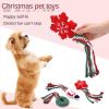 Cute Christmas Cartoon w/ Rope Knot Chew Toy