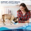 Forza10 Sensitive Dog Joint Dry Food