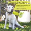 Dog Tennis Balls (20)