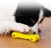 Spikey Bone Dog Toy & Treat Dispenser