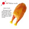 Roast Chicken-Shape Soft & Squeaky Dog Toy