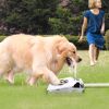 Outdoor Water Fountain with Step-On Activated Sprinkler