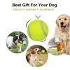 Dog Tennis Balls (20)