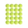 Dog Tennis Balls (20)