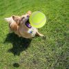 Dog Tennis Balls (20)