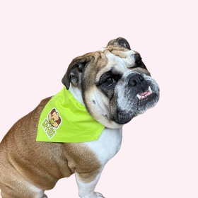 "Fetch Bitch" Lime Green Collar Bandana (size: large)