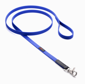 Boss Regular Leash (Color: Blue, size: 3/4"x4')