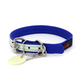 Glow In the Dark Dog Collar (Color: Blue, size: 3/4"x12")