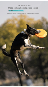 Flying Disc Dog Toy (Color: Blue Large (235mm))