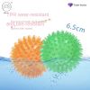 Colorful Spiky Squeaky Ball Toy