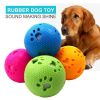 Interactive Squeaky Chewy Dog Ball