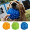 Squeaky Chewy Spike Dog Ball Toy