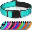 Soft Padded Nylon Reflective Dog Collar