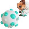 Non-Toxic Rubber Interactive Chew Dog Ball