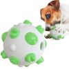 Non-Toxic Rubber Interactive Chew Dog Ball