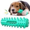 Toothbrush Chewy Dog Toy