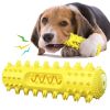 Toothbrush Chewy Dog Toy